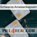 Black Ant Capsules 25